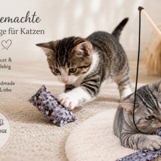 Katzen-Flitzer – kleines Jagdspielzeug für flinke Pfoten, Katzenspielzeug